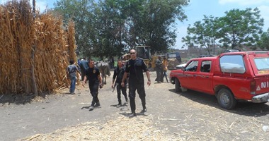 القبض على عاطلين هاربين من 10 سنوات سجن فى الإسماعيلية