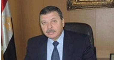 مباحث دار السلام تضبط نجار مسلح لقتله طفلة