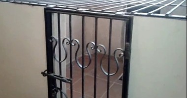 استياء من تواجد فندق للكلاب والقطط بمديرية طب بيطرى كفر الشيخ