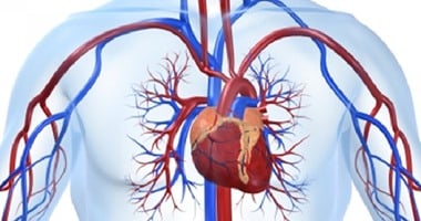 6 أسباب قد تقودك للجلطة وتصلب الشرايين.. أهمها التدخين والسمنة