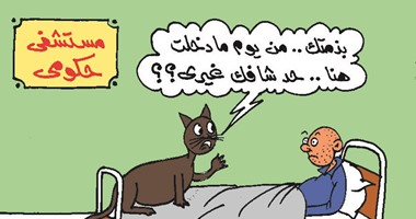 القطط على أسرة المرضى بالمستشفيات فى كاريكاتير اليوم السابع