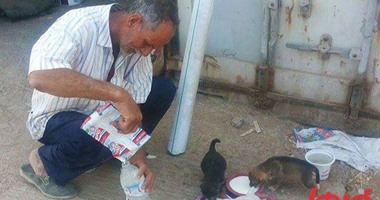 تداول صورة لعامل يسقى كلابا حديثة الولادة "الحليب" بعد وفاة والدتهم