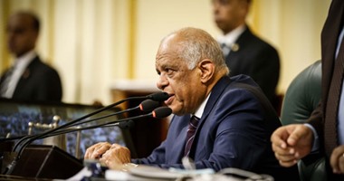 على عبد العال: ما تردد عن رفض نائبين التفتيش فى المطار غير صحيح