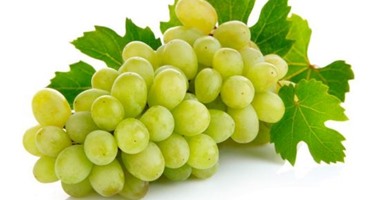 تناول العنب يجنب مخاطر الوقوع فريسة لـ"الزهايمر"