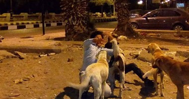 الصحة: أى عضة أو خربشة أو لعق جلد من حيوان ضال تتطلب إجراءات وقائية