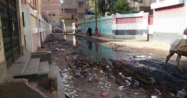 بالصور.. شوارع قرية محلة أبو على فى المحلة الكبرى تعوم على بحيرة مجارى