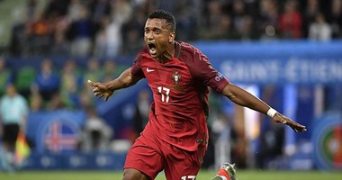 يورو 2016.. تعرف على نجوم الأهداف المئوية بعد انضمام نانى