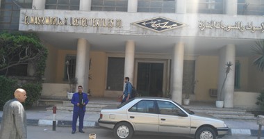 خبير اقتصادى: صناعة الصوف المصرى متميزة وتحتاج لـ" المارينو"