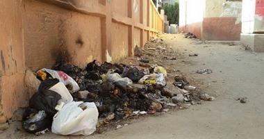 صحافة المواطن .. تراكم القمامة فى قرية نشا بمحافظة الدقهلية