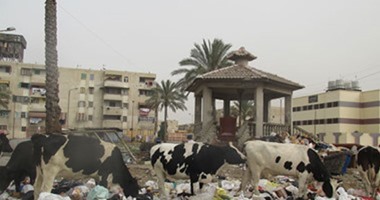 "الإسكان": بورسعيد بدون عشوائيات العام المقبل.. درويش: الانتهاء من تطوير المناطق الخطرة بالمحافظة 2017.. تسكين أهالى عشوائيات البحر الأحمر نوفمبر المقبل.. وإنشاء 960 وحدة سكنية بتكلفة 87.5 مليون جنيه