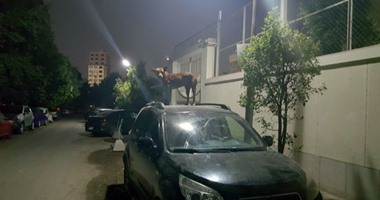 بالصور.. "الكلاب الضالة" تهدد سكان المعادى الجديدة