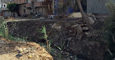 بالصور.. ألف فدان مهددة بالبوار بقرية شبرابابل بالمحلة لعدم وجود مياه للرى