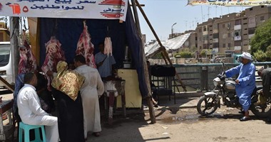 "الزراعة": تدفع بـ35 سيارة محملة باللحوم بـ58 جنيها للكيلو فى 3 محافظات