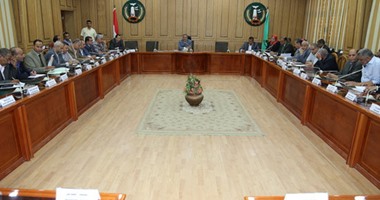 محافظ المنوفية يقر مشروعات بأشمون خلال المجلس التنفيذى