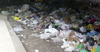 بالصور .. غياب عمال النظافة عن "السبع بنات" بالغربية يحولها إلى تلال قمامة