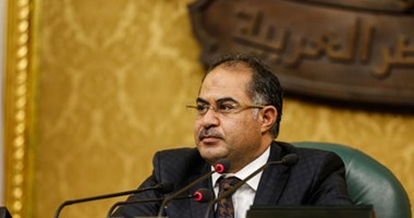 وهدان : رئيس الشيوخ الفرنسى أكد استعداد بلاده لإنشاء منطقة صناعية بمصر