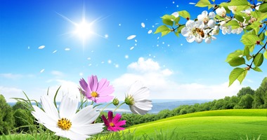 الأرصاد: غدا طقس معتدل.. والعظمى بالقاهرة 30 درجة