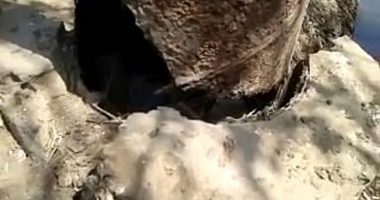 بالصور.. أعمدة الكهرباء المتهالكة كارثة تُهدد الأطفال بقرية بسيدى سالم