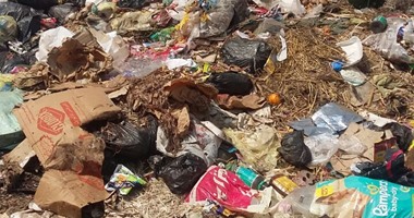 "واتس آب اليوم السابع".. القمامة تنتشر على ضفاف النيل فى سمنود بالغربية