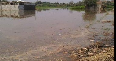 المنوفية والبحيرة فى دائرة الخطر.. ارتفاع منسوب النيل يغرق الأراضى والمنازل.. وتحذيرات من تعديات طرح النهر.. وزارة الرى: الإدارة العشوائية لسد النهضة تفتعل فيضانًا صناعيًا يهدد دول المصب