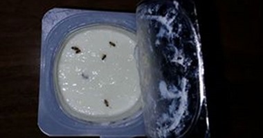 ضبط 528 علبة زبادى منتهية الصلاحية بطنطا