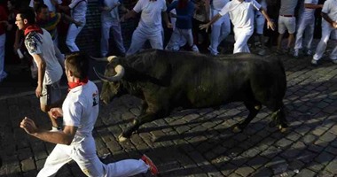 إصابة 10 على الأقل آخر أيام مهرجان بامبالونا للثيران