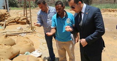 توريد 232 ألف طن قمح لشون وصوامع محافظة البحيرة