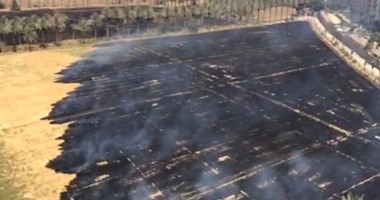 مديرية الزراعة بكفر الشيخ تحرر 614 محضراً لحرق قش الأرز