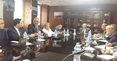 وفد علماء الطاقة النووية المصريين يعرض على وزير الكهرباء مقترحات للأمان النووى لمشروع الضبعة