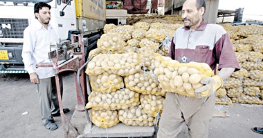 منافذ أمان تطرح بطاطس بأسعار مخفضة لمواجهة الغلاء