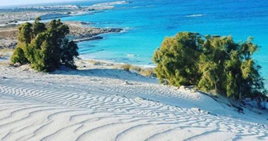معروض دولارى كبير فى الأسواق خلال أيام.. تنمية رأس الحكمة يوفر سيولة دولارية تصل لـ22 مليار دولار.. تأثيرات مباشرة على أسعار "الأخضر" فى السوق السوداء ليتراجع من 70 إلى 56 جنيها حالياً