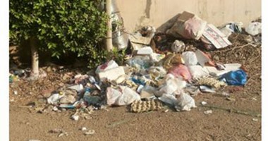 قارئة تشكو تحول أرض فضاء إلى مقلب قمامة فى شارع العشرين بحدائق الأهرام
