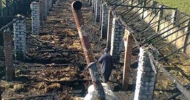 الحماية المدنية تسيطر على حريق بمزرعة دواجن فى الشرقية