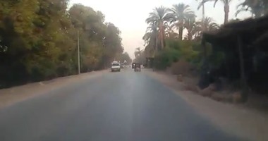 مصرع طفلة صدمتها سيارة ملاكى أثناء عبورها طريق أسيوط الزراعى