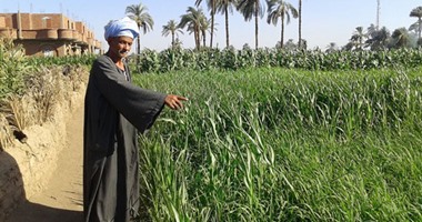 بالفيديو والصور.. مياه الرى "بطل من ورق" والأهالى يجسدون فيلم "الأرض" بسوهاج