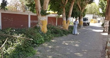 قنا تبدأ مبادرة أسبوع النظافة تحت شعار حلوة يا بلدى بمشاركة 450 شابا