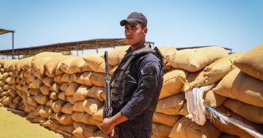 "تقصى حقائق القمح" تبدأ غدا وضع حلول تجاهلتها "التموين".. اللجنة تعقد جلسة استماع لشركة بلومبرج الأمريكية والهيئة الهندسية للقوات المسلحة.. ومدحت الشريف: اقتراح الحل للقضاء على إهدار المال العام