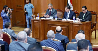 بالصور.. رئيس لجنة الشئون الإفريقية: قوى الشر ستقاوم تحركنا نحو القارة السمراء