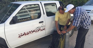 وزارة البيئة تجرى دراسة لتجمعات الأسماك بمنطقة ظهور حوت مارينا
