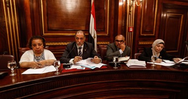 بدء اجتماع لجنة التضامن بالبرلمان لمناقشة قضايا الأقزام
