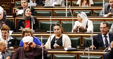 عضو لجنة "الدفاع" بالبرلمان : استعانة قطر بإيران دليل على خيانتها لدول الخليج
