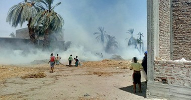 بالصور.. السيطرة على حريق بأشجار نخيل جنوب الأقصر