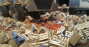 ضبط 10 أطنان حاصلات زراعية فاسدة داخل ثلاجات بكفر الدوار