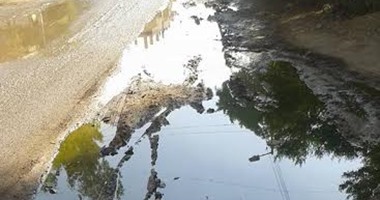 مياه الصرف تغرق شارع "كفر الباجور - سنجلف" فى المنوفية