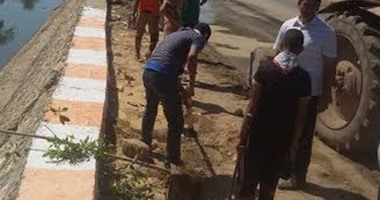 استمرار مبادرة "حلوة يابلدى" لليوم السادس وغرس 55 شجرة فى صدفا بأسيوط