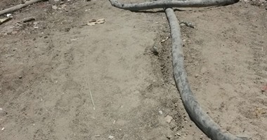 بالصور.. الكابلات الكهربائية العارية تهدد أرواح المواطنين بكوم حمادة بالبحيرة