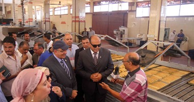 محافظ مطروح و"تحيا مصر" و"بيت العيلة" يتفقدون المشروعات التنموية