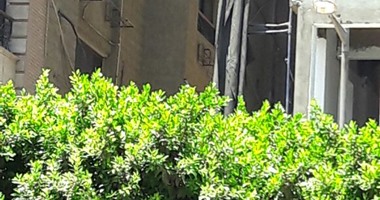 أعمدة الإنارة مضاءة بوضح النهار بالمهندسين