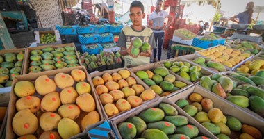 المانجو المسك شبيهة العويس.. خالى بالك من الغش 