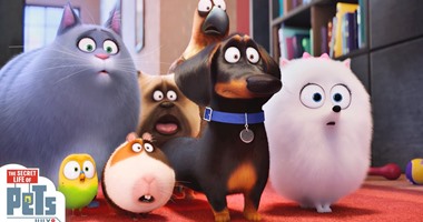 198 مليون دولار أمريكى إيرادات فيلم الإنيميشن The Secret Life of Pets